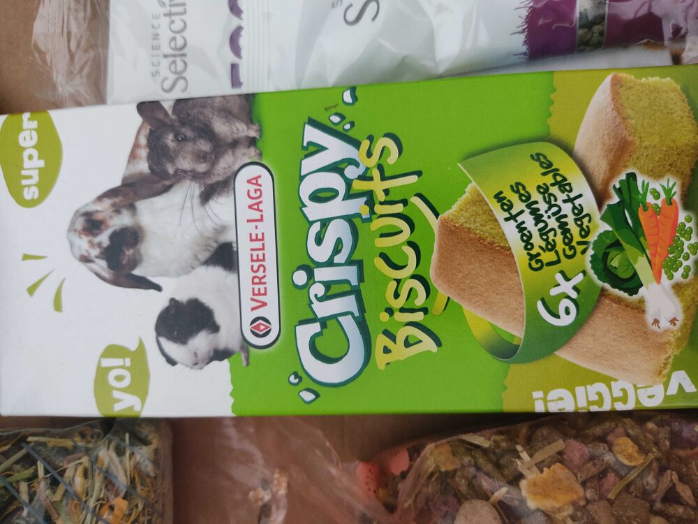 accessoires pour cochon d'Inde Meubles