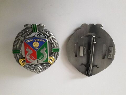 insigne legion 1e R E C - 8 Palaja (11)