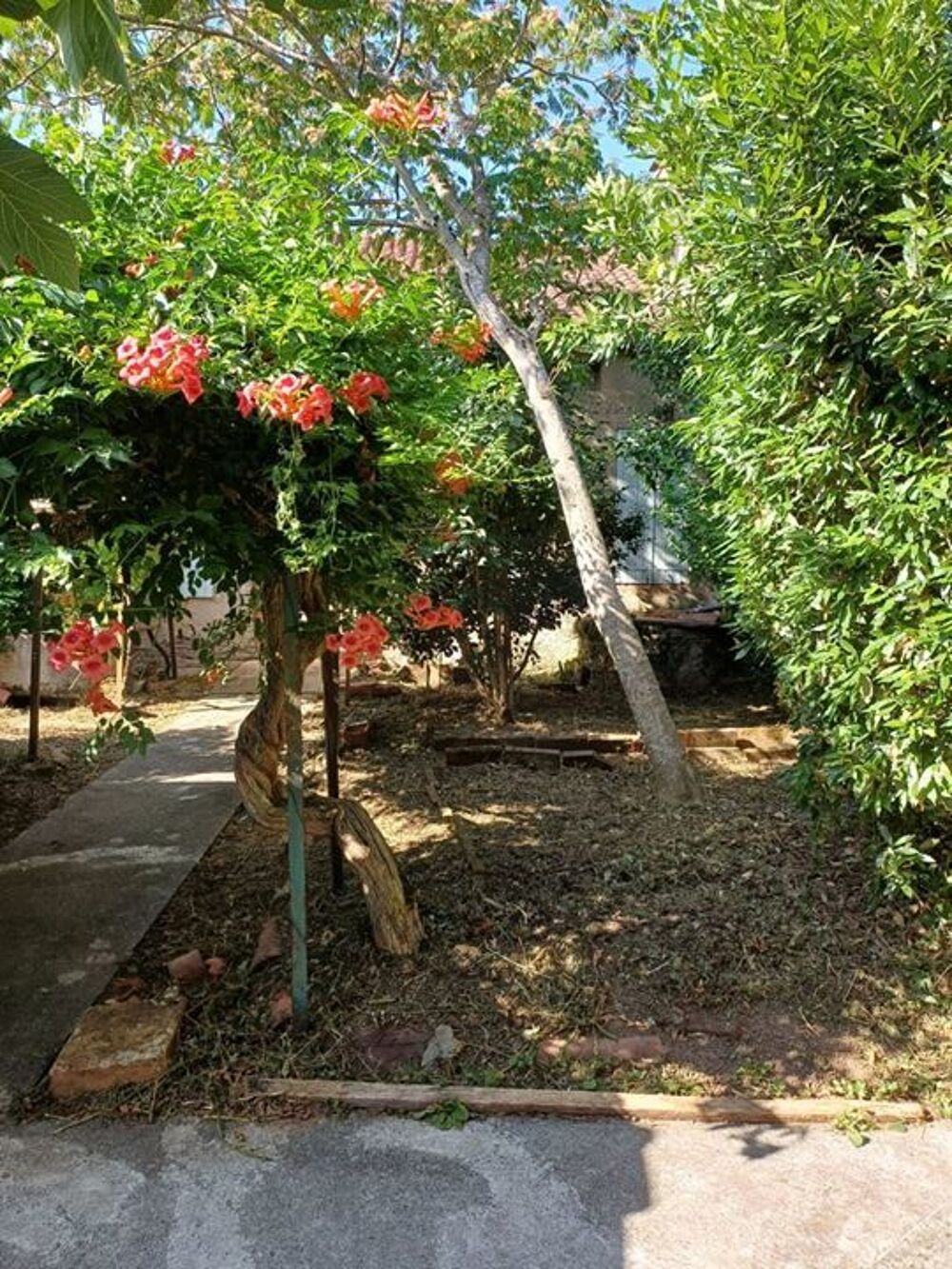 Vente Maison Maison de village - 140m ² Villefranche d'albigeois