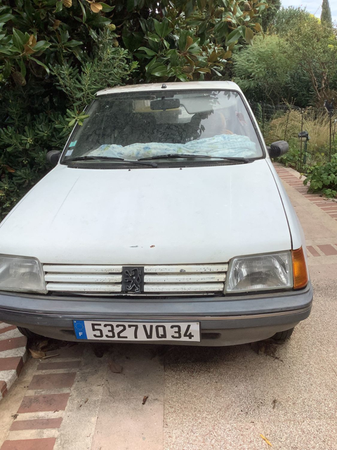 Peugeot 205 1.0 XE