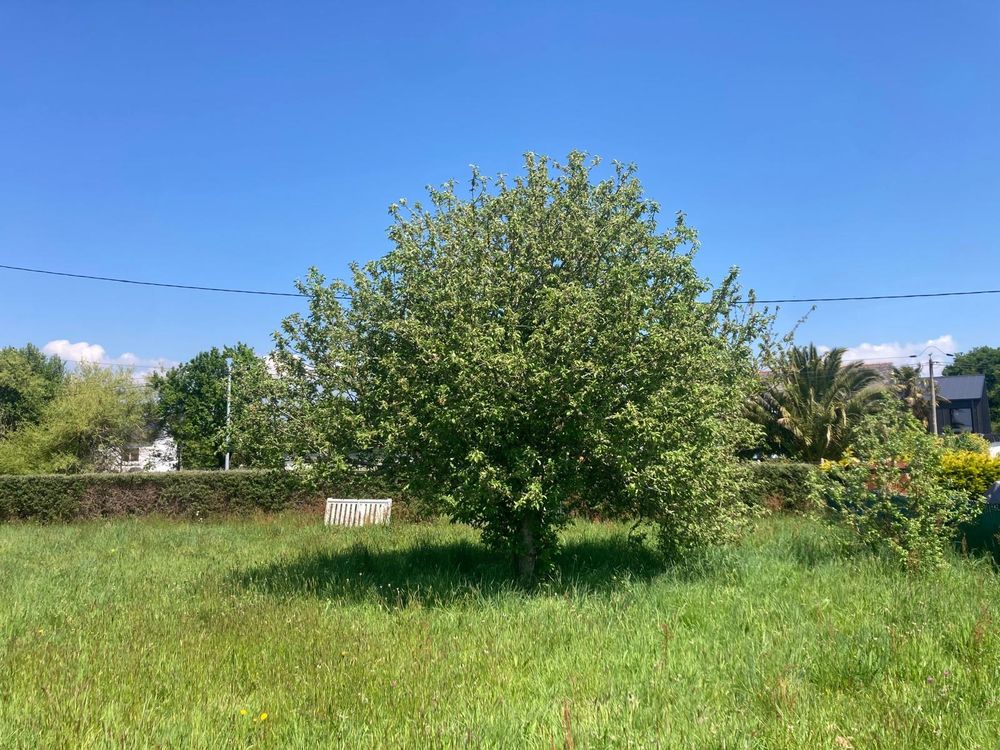 Vente Terrain terrain constructible a Ste-Marine-Combrit Combrit