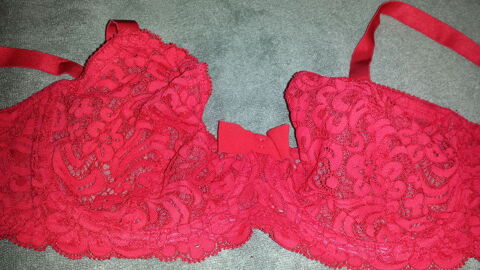 N° 376 SOUTIEN-GORGE ROUGE 7 Triel-sur-Seine (78)