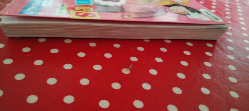 livre les 3 copines Livres et BD