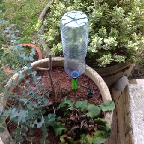 système goutte à goutte 20 Gaillac (81)