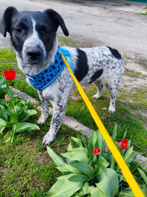 JACK SE TROUVE DANS UN REFUGE EN UKRAINE 0 75018 Paris