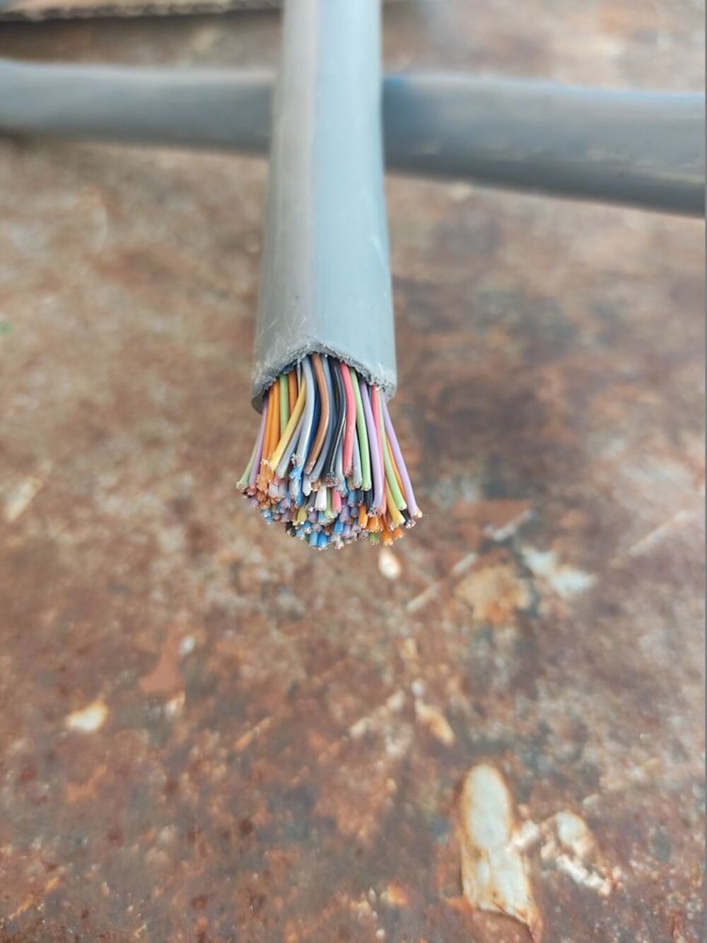 Cable cuivre multipaire 56 paires 3,80m Bricolage