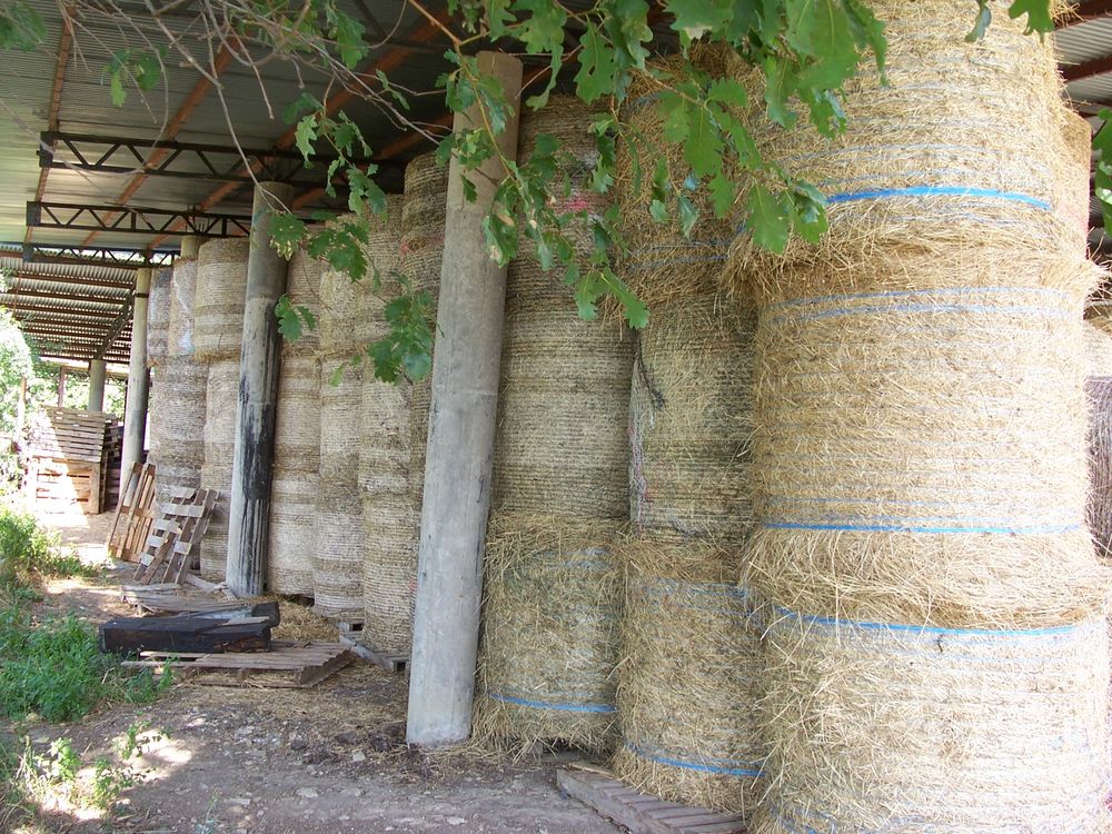   balles   ronde  foin  au    d�tail  
