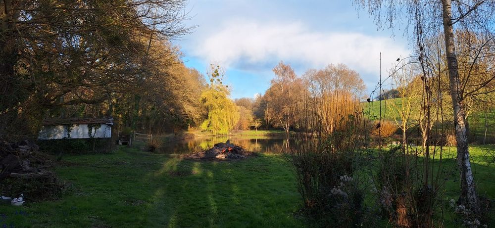 Vente Terrain Terrain de loisir avec étang 6 620 m² avec étang à Boursay Boursay