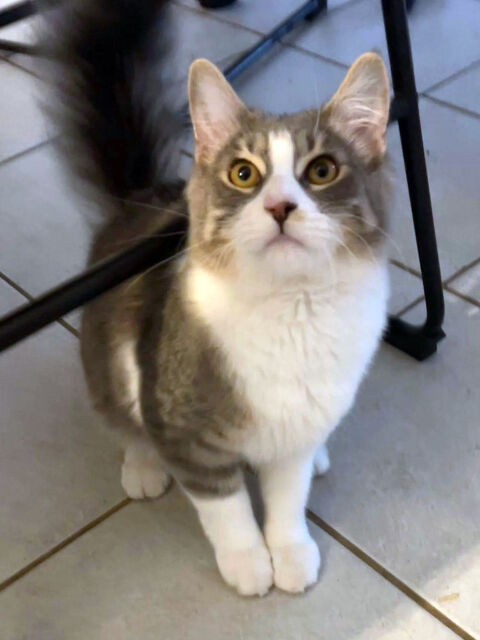 MARLO 1 26290 Donz�re