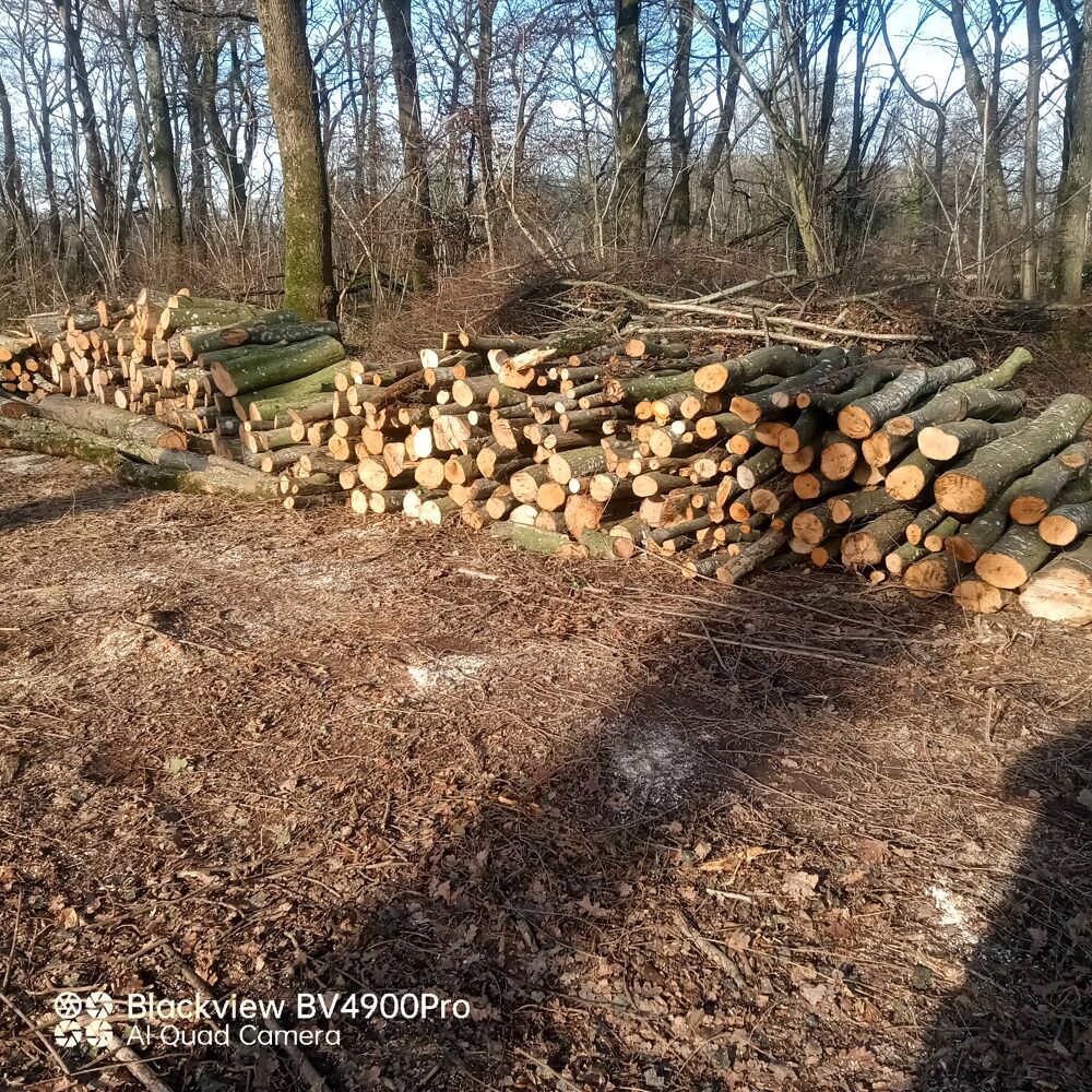 Bois de chauffage &agrave; faire s&eacute;cher Jardin