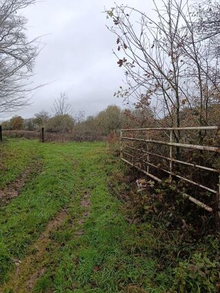  Terrain  vendre 60000 m