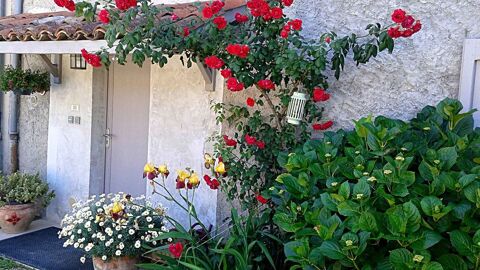  Maison � louer 4 pi�ces 130 m�