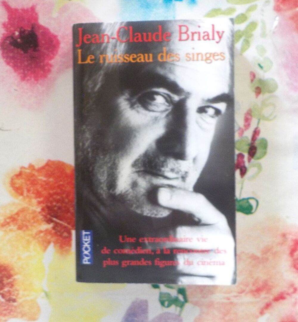 LE RUISSEAU DES SINGES par Jean-Claude BRIALY Ed. Pocket Livres et BD