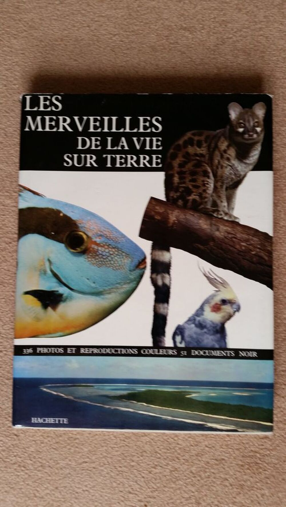 Les merveilles de la vie sur terre Livres et BD