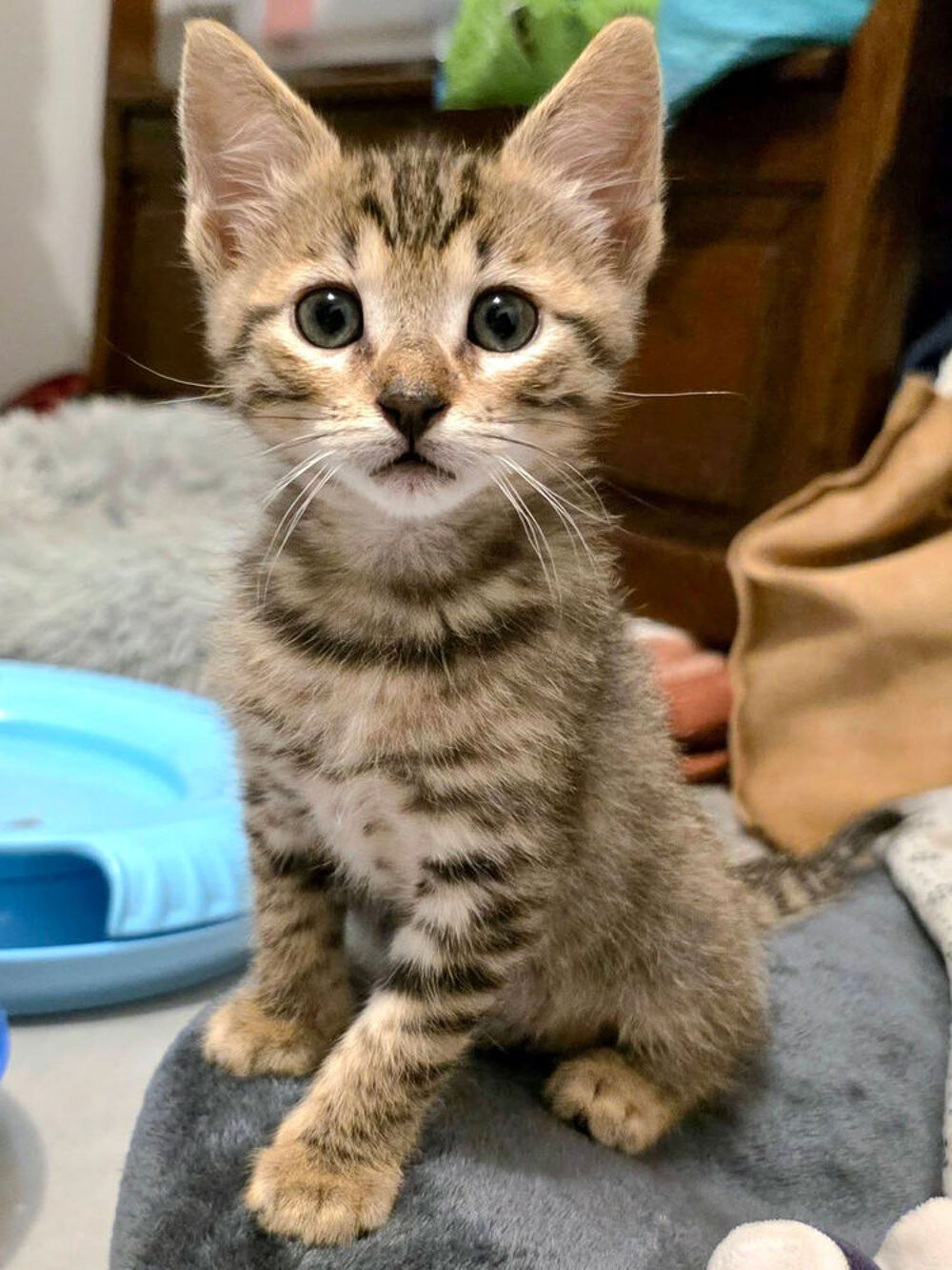   **MILO** 