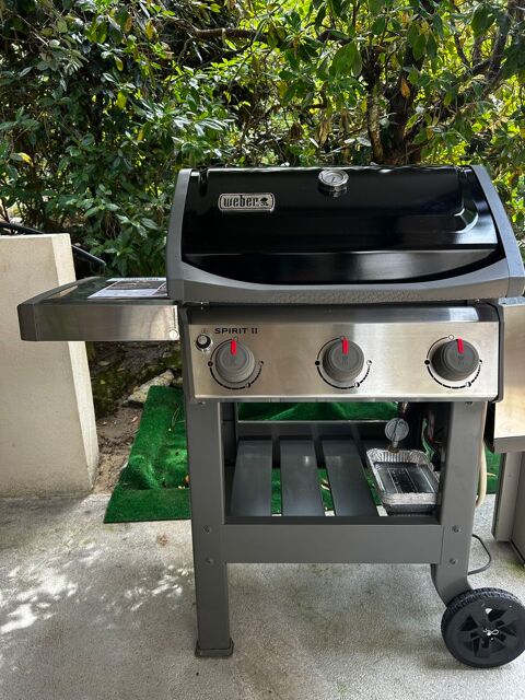 Barbecue Weber Spirit II E310 Arcachon (33)