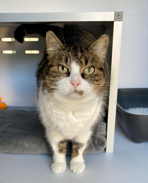 Marjolaine 130 26700 Pierrelatte