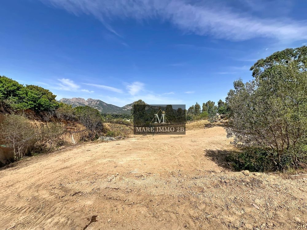 Vente Terrain Terrain constructible vue exceptionnelle sur les Montagnes Calvi
