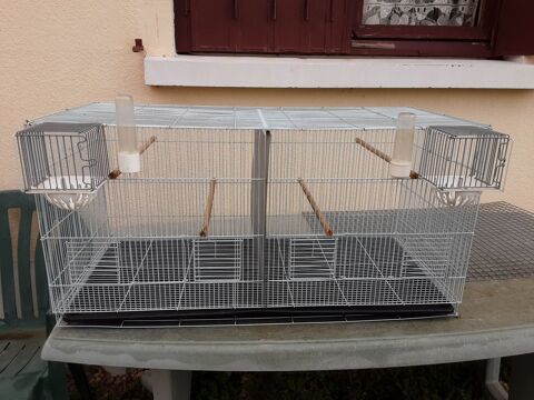 cage reproduction 70 33240 Saint-andr-de-cubzac