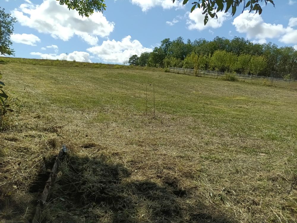 Vente Terrain Terrain de 1586 m2 à bâtir avec CU Saint-antonin