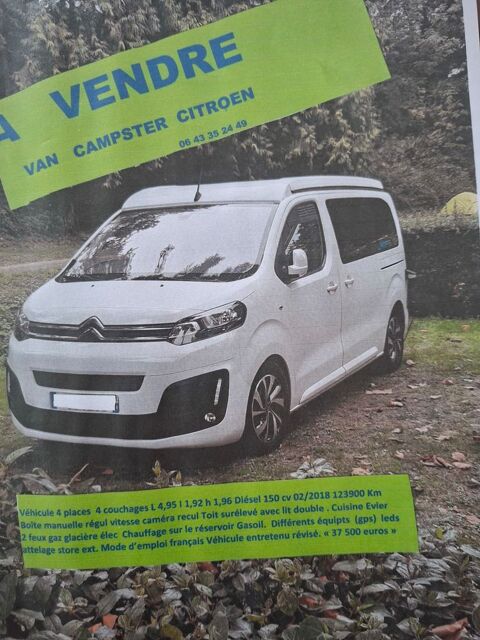 Van am&eacute;nag&eacute; Van am&eacute;nag&eacute; 2018 occasion Caen 14000