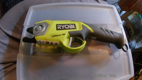 SECATEUR RYOBI 4V 30 Schwindratzheim (67)