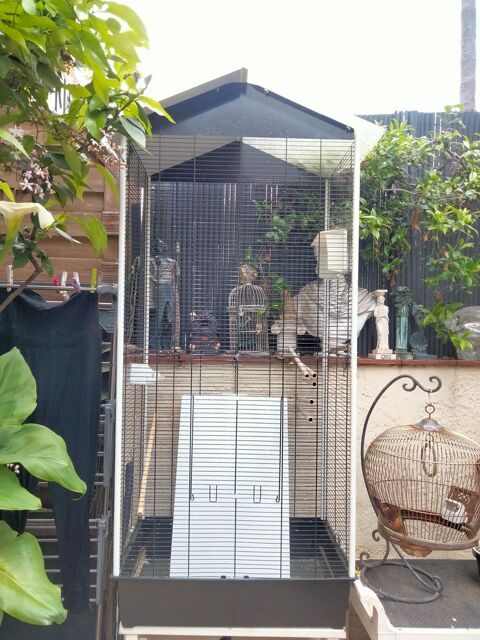 Grande cage 60 06700 Saint-laurent-du-var