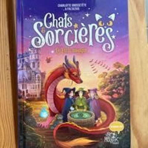 Livre Chats et sorcières 9 Montauban (82)