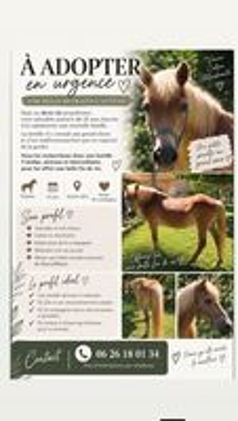  Adorable ponette 25 ans 