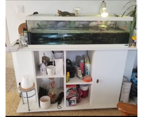 Tortue d eau 150 80400 Douilly