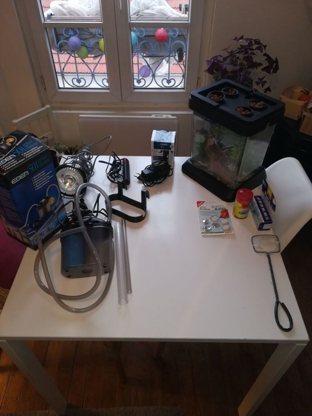 Aquarium ozarium citizenfarm Jardin