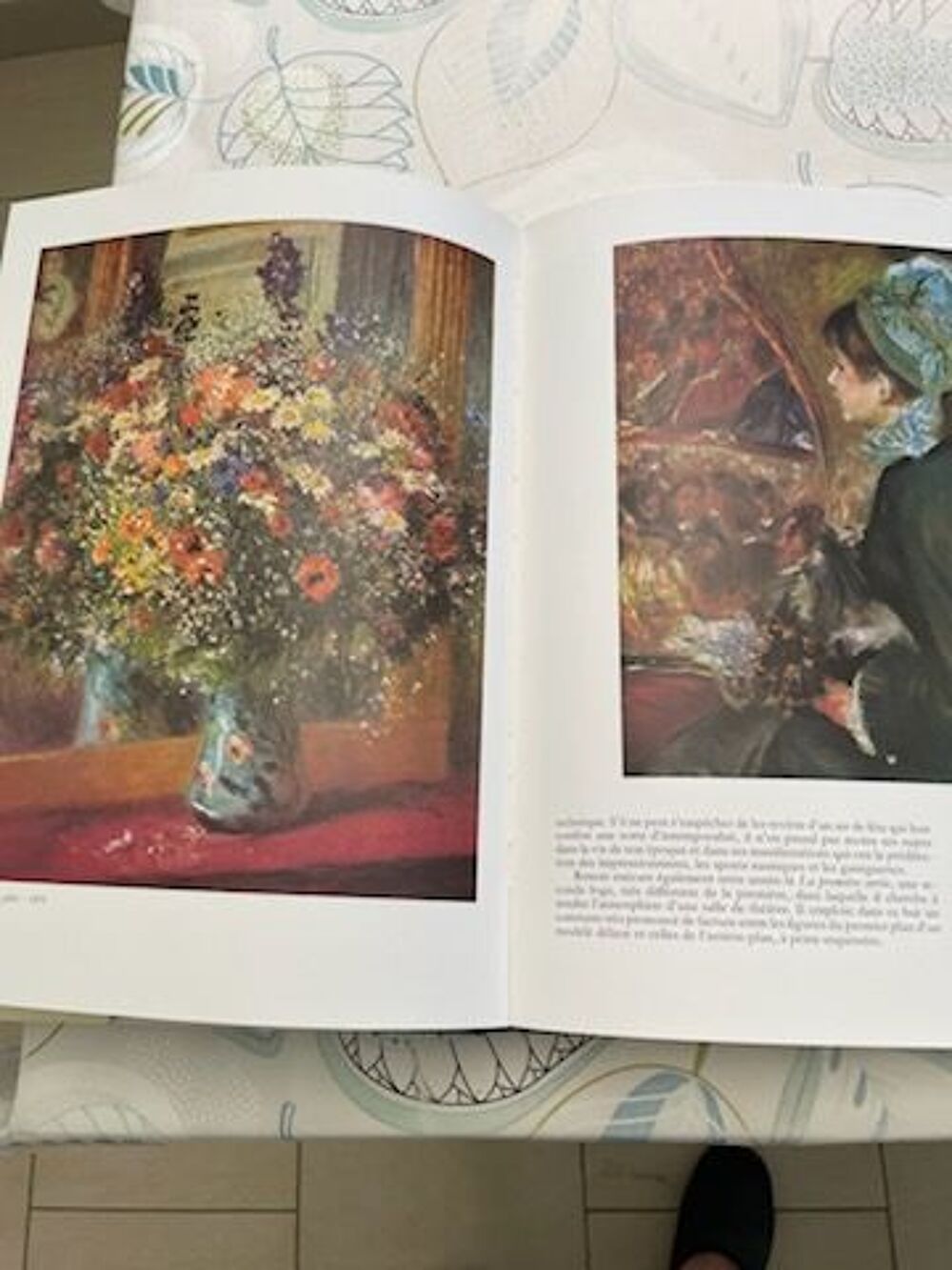 Livres peinture Livres et BD