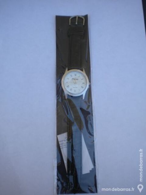 MONTRE HOMME QUARTZ ?Eiger? 12 Dammarie-les-Lys (77)