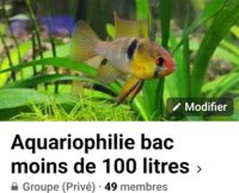   Groupe aquariophilie  