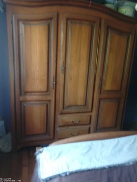 Armoire en bois massif Courtenay (45)