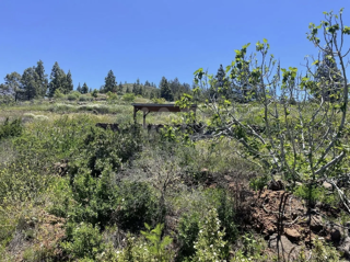  Terrain à vendre 5500 m² La quinta, espagne