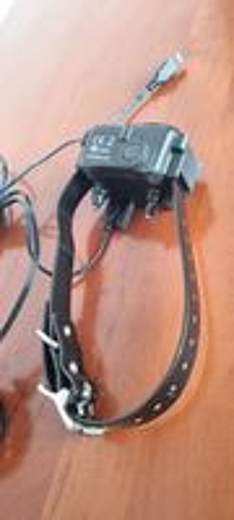   Collier pour chien SPORTDOG 