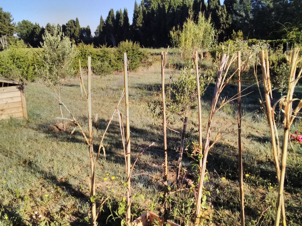Location Terrain terrains de loisir pour loisir jardinage detente... Eyragues