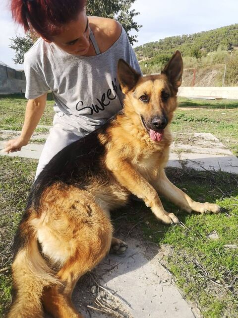 BERTA 300 95610 ragny