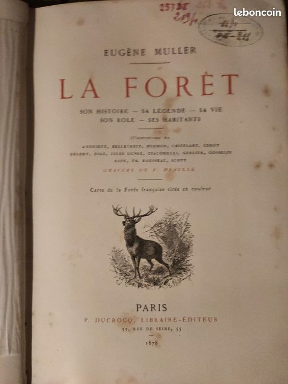 Eugene Muller la F&ocirc;ret gravure animal animeaux arbres art Livres et BD