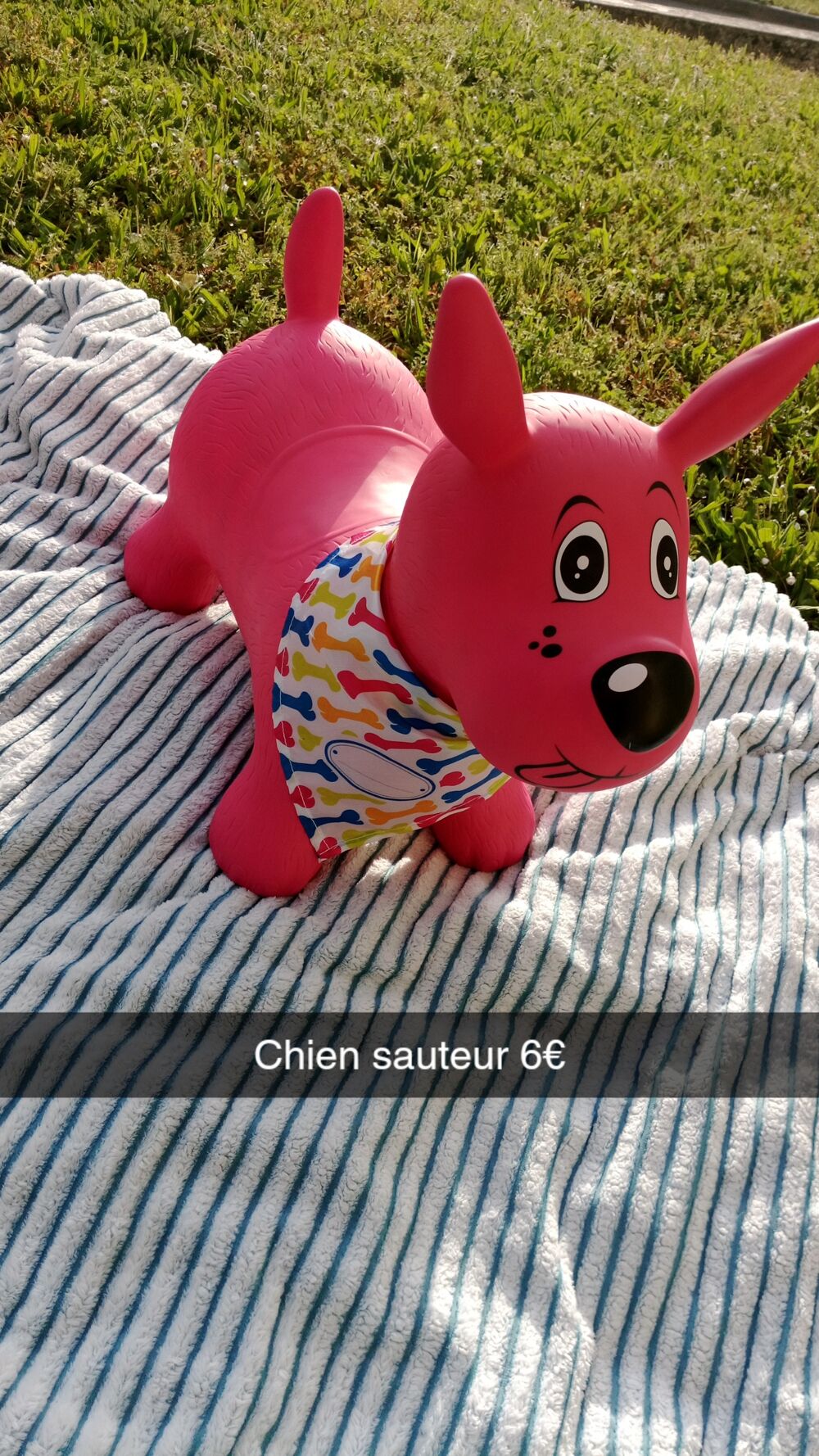 Chien sauteur Jeux / jouets