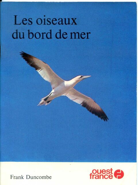 LES OISEAUX DE BORD DE MER 5 Rennes (35)