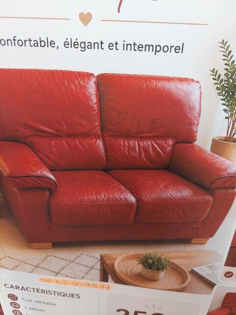 Canap� cuir Bordeaux 50 Castillon-la-Bataille (33)