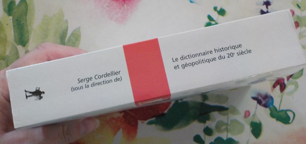 LE DICTIONNAIRE HISTORIQUE ET GEOPOLITIQUE DU 20e SIECLE Livres et BD