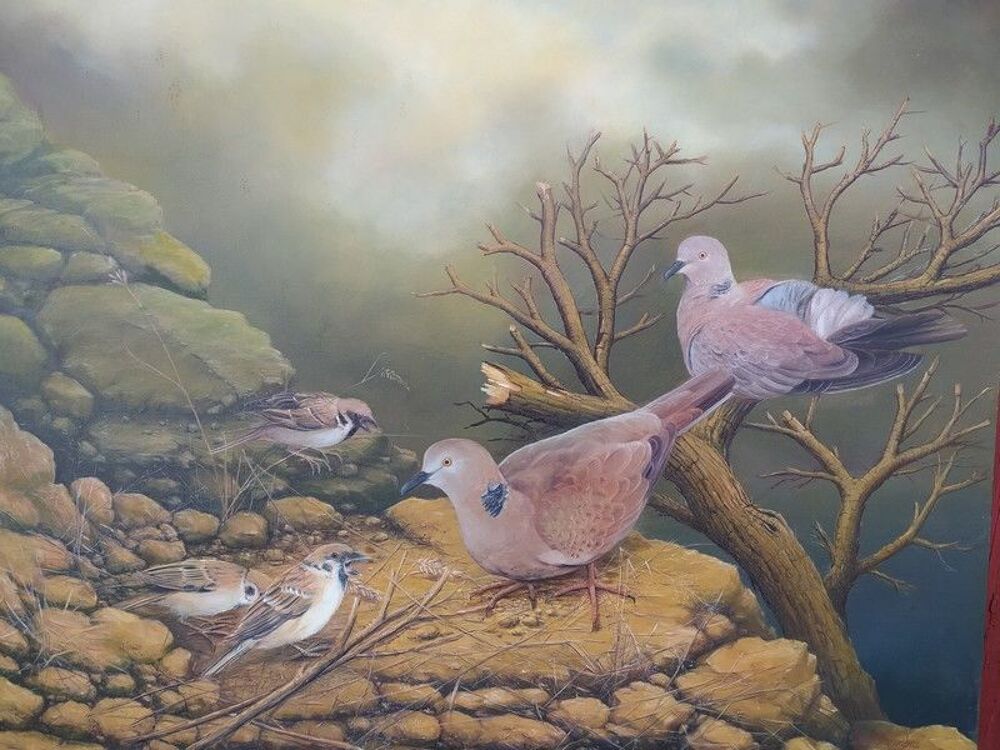 Grand Tableau Peinture sur Toile Oiseaux et Pigeons 