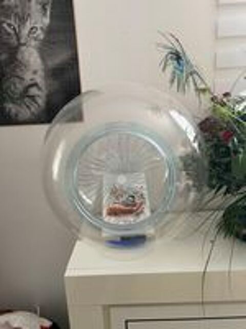   Cage bulle padda  