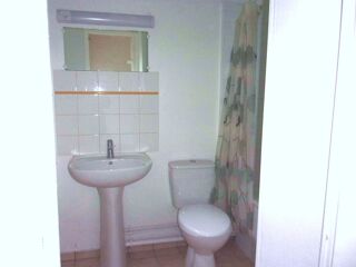  Appartement à louer 1 pièce 24 m²