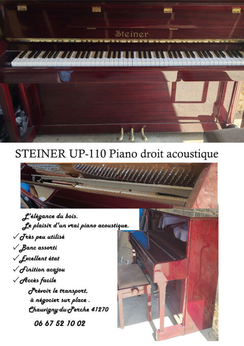 Piano Steiner UP-110 Acajou Chauvigny-du-Perche (41)