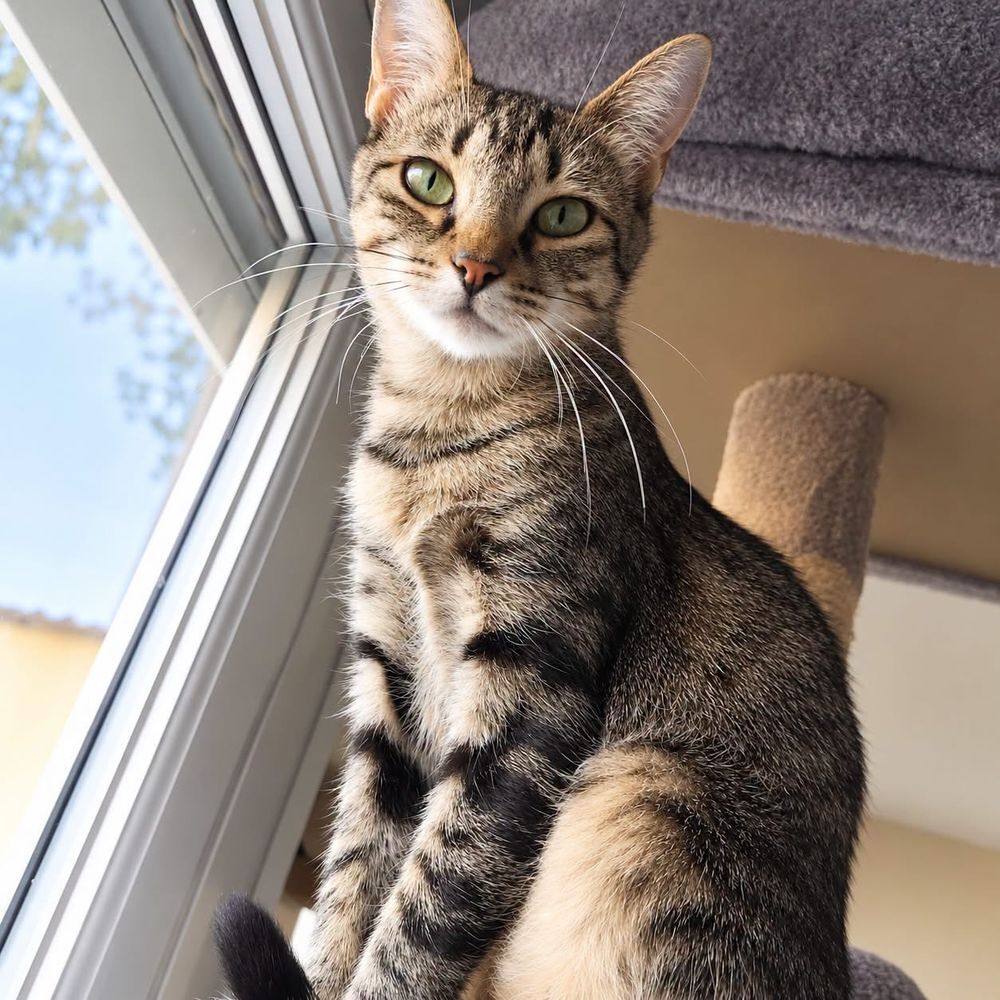   Mimie jolie 