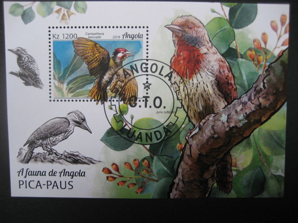 Bloc-feuillet de l'ANGOLA, Campethera bennettii 